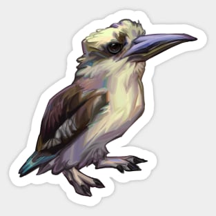 Kookaburra Sticker